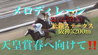 メロディーレーン　史上最軽量牝馬　応援📣pv