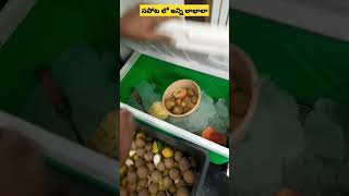 సపోట లో ఇన్ని లాభాలా | Health benifits of Sapota fruit | Bunny vlogs india