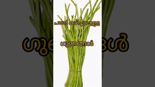 പയർ കഴിച്ചാലുള്ള ഗുണങ്ങൾ അറിയുമോ?#healthbenefitsofbeans #healthtips #youtubeshorts  #drsajidkadakkal