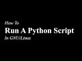 How To Run A Python Script | GNU/Linux | Python 3