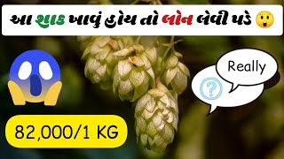 Most Expensive Vegetable in the World ! || દુનિયાની સૌથી મોંઘી ગણાતી શાકભાજી !