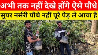 अभी तक नहीं देखे होंगे ऐसे पौधे | online plant shopping | best online nursery in india | nursery