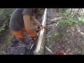 Building a Bog Bridge on a Hiking Trail Building a Bog Bridge on a Hiking Trail