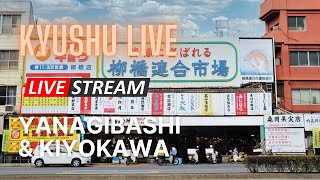 Kyushu Live - Yanagibashi \u0026 Kiyokawa / 柳橋連合市場と清川