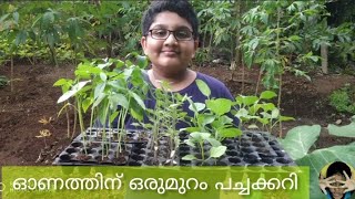 ഓണത്തിന് ഒരുമുറം പച്ചക്കറി...#maadhavsampadi #maadhavstipsandtricks #farmingathome