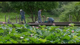 Lumix S9 + 20-60mm Lens 4K DCI Video: The Wetlands of Hangzhou, China