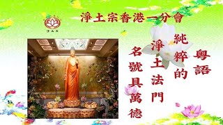 《粵語》純粹的淨土法門丨（49之30）名號具萬德丨慧淨法師丨淨土宗