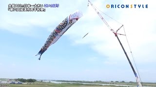 全長100m、重さ330kg 日本一大きい こいのぼりが青空を泳ぐ！