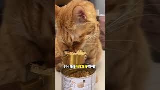 家里有挑食小馋猫不吃猫粮的给它拌点营养的拌饭肉松，营养解馋猫粮嘎嘎炫鲜粮说就是新鲜 萌宠好物 猫粮拌饭肉松