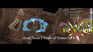 [iRO Chaos] First time of Tomb of Remorse [Auto Attack Crit Wind Hawk]