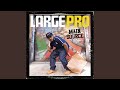 Large Pro Says (Instrumental)