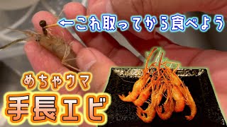 「泥袋」を取ってから食べる【テナガエビの下処理解説】手長エビ料理をわかりやすく【子供と釣り】