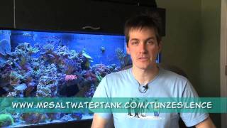 Mr. Saltwater Tank's Review of the Tunze Silence 1073.05