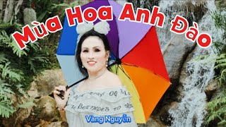 Ck : MÙA HOA ANH ĐÀO / Trình Bày / Vàng Nguyễn