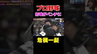 【プロ野球】打球がベンチに...危機一髪？#shorts#プロ野球#野球