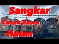 Sangkar Ruji Rapat Untuk Cucak Rawa Hutan + Murai Batu Hutan Sangat Bagus Hindari Cecel di Paruh