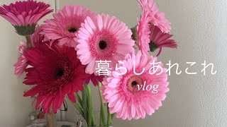 《料理と暮らしのvlog》主婦の日常/家庭料理/手作りドレッシング/丁寧な暮らし