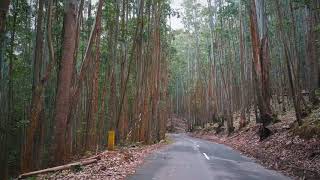 Drive to Vattavada!! (4K)  Munnar | Kerala | India