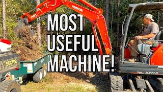 Tackling THICK BRUSH With A 25hp Mini Excavator