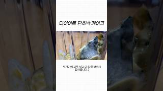 나만의 블랙스완 다이어트케이크