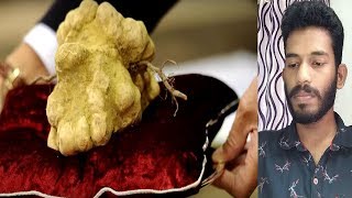 ഏറ്റവും വിലകൂടിയ ഭക്ഷണങ്ങൾ | world's most expensive foods