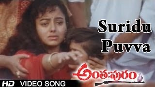 Anthapuram Movie | Suridu Puvva Video Song | Sai Kumar, Jagapathi Babu, Soundarya