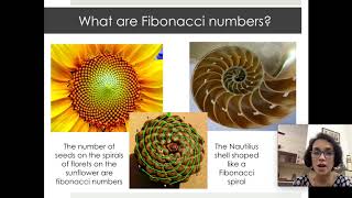 Exploring math using spreadsheets: Fibonacci numbers