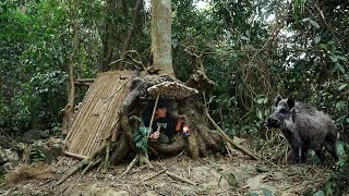 Build a secret survival shelter inside a strange fallen tree stump