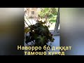 РОХИ БЕХТАРИНИ ХАЛОСИ АЗ БО ДАСТ ХАРОМ КАРДАН ВА ЗИНО