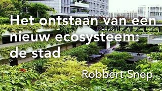 Het ontstaan van een nieuw ecosysteem: de stad