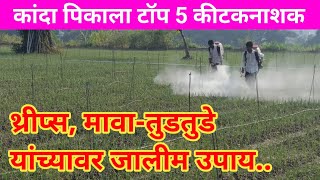 कांदा पिकाला टॉप 5 कीटकनाशक हेचं वापरा? I Kanda kitakanashak I Onion Insecticide I प्याज की दवाई