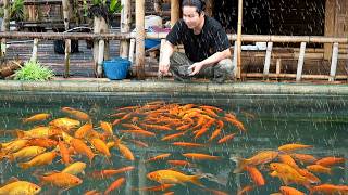 River Survival: Finding Wild Food And Cooking During Heavy Rain Storms
