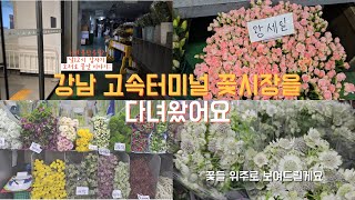 강남 고속터미널 꽃시장에 가는 방법 4가지 | 꽃으로 시작해서 호러로 끝나는 영상 | 가격 스포까지