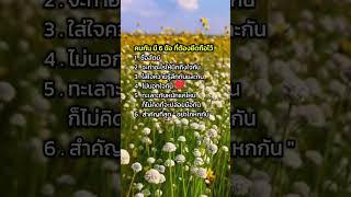 คบกันมี 6 ข้อ ที่ต้องยึดถือไว้ 🥰🫰#ข้อคิดดีๆในการใช้ชีวิต #mindset