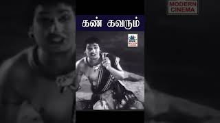 Kan kavarum கண் கவரும் | TMS