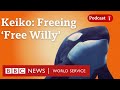 Keiko: How 'Free Willy' was set free - Witness History podcast, BBC World Service