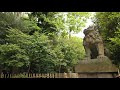 4k 神奈川県寒川町の早朝散歩　寒川神社経由。