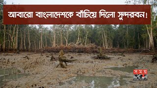 আবারো বাংলাদেশকে বাঁচিয়ে দিলো সুন্দরবন!  Sundarban | Cyclome Ampan