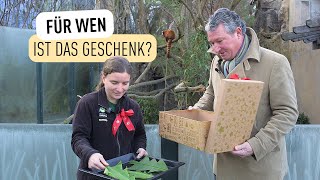 Die geheimnisvollen Weihnachtskekse I Tiergarten Schönbrunn