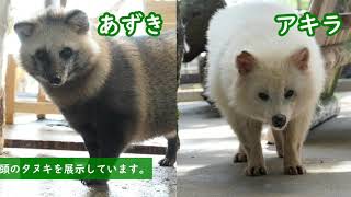 みてみて！徳山動物園Episode24