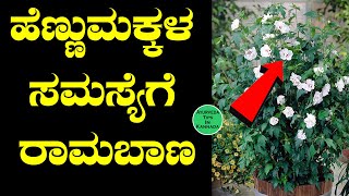 ದಾಸವಾಳ ಗಿಡದ ಔಷಧಿ ಬಗ್ಗೆ ಗುಣಗಳು ಗೊತ್ತಾ | hibiscus Health benefits Kannada | Ayurveda Tips in Kannada