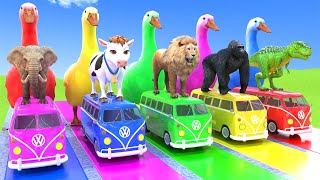 5 Giant Duck Cartoon,Cow,Elephant,Tiger,Lion,Dinosaur,Paint Wild Animals Crossing Fountain Animation