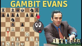 🔥 Le Gambit Evans  | Ouverture d'échecs agressive