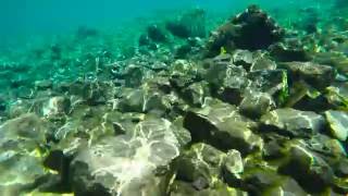 Нижнее озеро Сайрам-Су под водой // SayramSu bottom lake under water