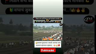 bailgada sharyat 🐎❤️‍🔥 कार्वे मैदान 2023 final