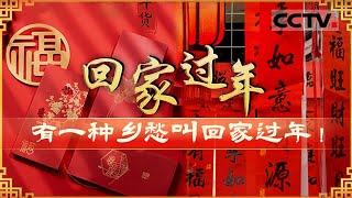 团圆时刻！用镜头捕捉中国人家的温情与梦想 有一种乡愁叫回家过年！【CCTV纪录】