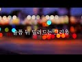 가사 ♬ 장혜리 _ 내게 남은 사랑을 드릴께요 1988