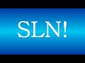 SLN! Media Group, Inc.