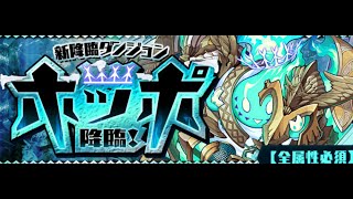 【パズドラ】ホッポ降臨ノーコン、竈門炭治郎【絶壊滅級】