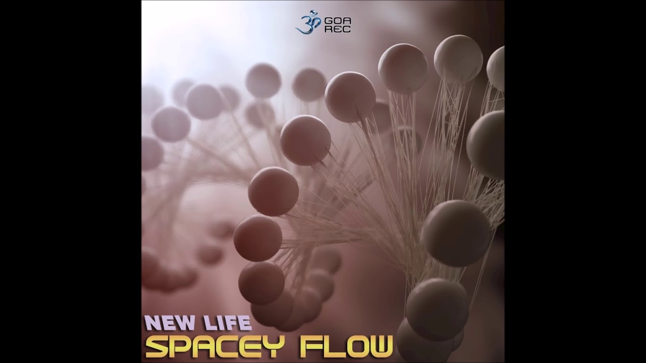Spacey Flow New Life Full Ep Youtube Music